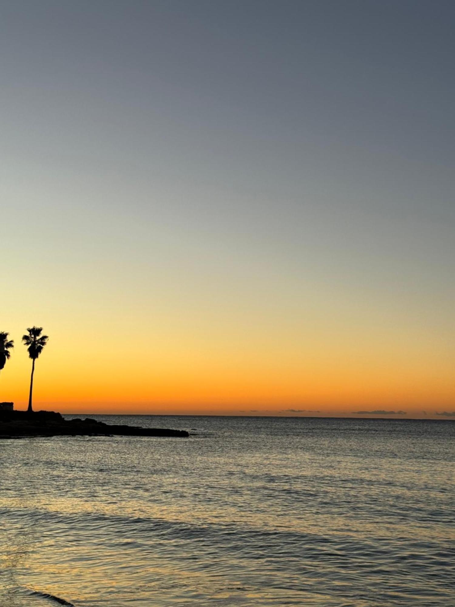 Apartment In Torrevieja